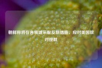 朝鲜称将在各领域采取反制措施，应对美国敌对挑衅