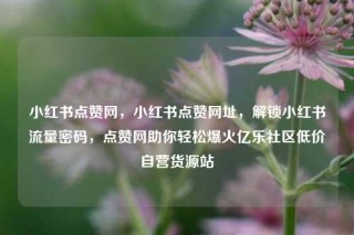 小红书点赞网，小红书点赞网址，解锁小红书流量密码，点赞网助你轻松爆火亿乐社区低价自营货源站