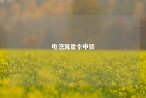电信流量卡申领