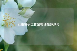 云南快手工作室电话是多少号