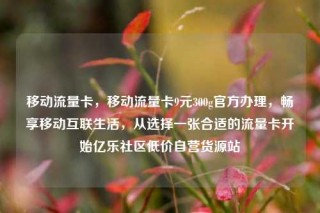 移动流量卡，移动流量卡9元300g官方办理，畅享移动互联生活，从选择一张合适的流量卡开始亿乐社区低价自营货源站