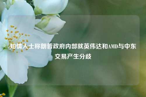 知情人士称朗普政府内部就英伟达和AMD与中东交易产生分歧  第1张