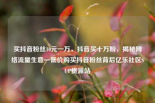 买抖音粉丝10元一万	，抖音买十万粉，揭秘网络流量生意—低价购买抖音粉丝背后亿乐社区SUP货源站  第1张