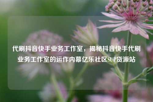 代刷抖音快手业务工作室，揭秘抖音快手代刷业务工作室的运作内幕亿乐社区SUP货源站  第1张
