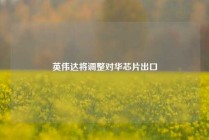 英伟达将调整对华芯片出口