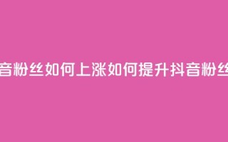 抖音粉丝如何上涨(如何提升抖音粉丝数)