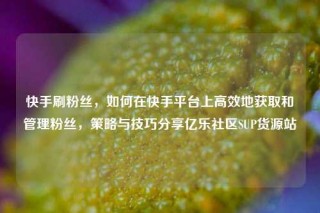 快手刷粉丝，如何在快手平台上高效地获取和管理粉丝，策略与技巧分享亿乐社区SUP货源站
