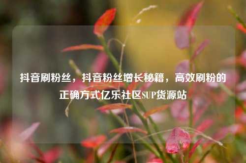 抖音刷粉丝，抖音粉丝增长秘籍，高效刷粉的正确方式亿乐社区SUP货源站  第1张