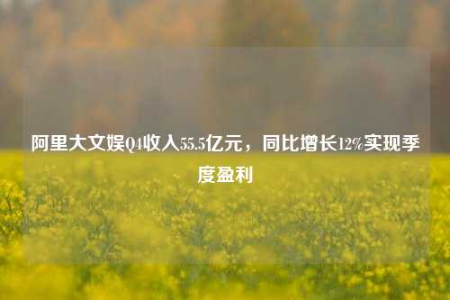 阿里大文娱Q4收入55.5亿元，同比增长12%实现季度盈利  第1张