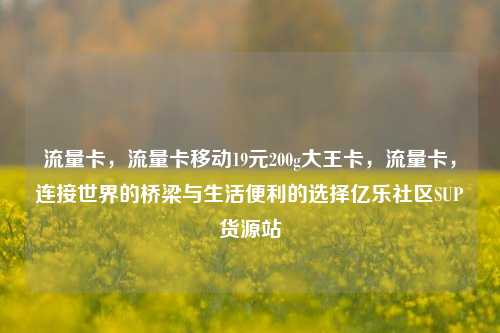 流量卡，流量卡移动19元200g大王卡，流量卡	，连接世界的桥梁与生活便利的选择亿乐社区SUP货源站  第1张