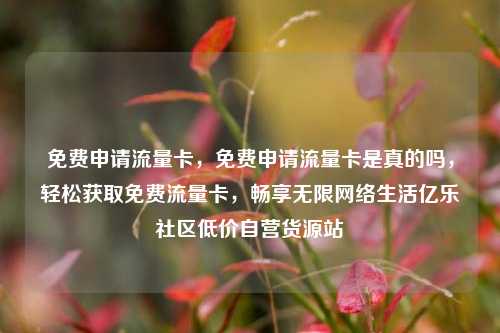 免费申请流量卡	，免费申请流量卡是真的吗，轻松获取免费流量卡，畅享无限网络生活亿乐社区低价自营货源站  第1张