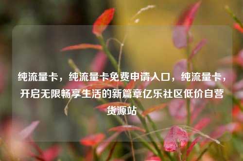纯流量卡，纯流量卡免费申请入口，纯流量卡	，开启无限畅享生活的新篇章亿乐社区低价自营货源站  第1张